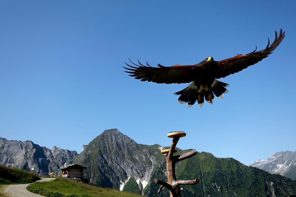 Gaestehaus Ahornblick Mayrhofen Exteriér fotografie
